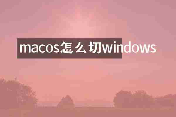 macos怎么切windows