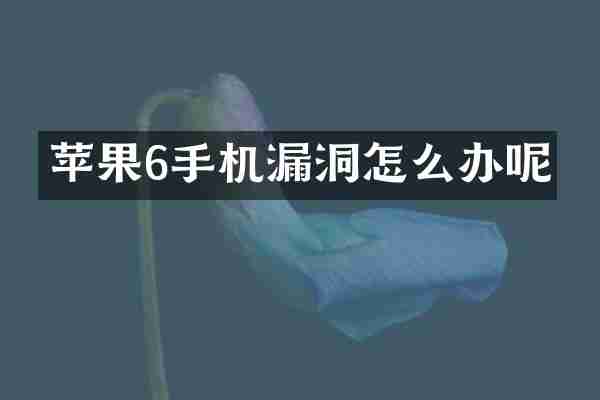 苹果6手机漏洞怎么办呢