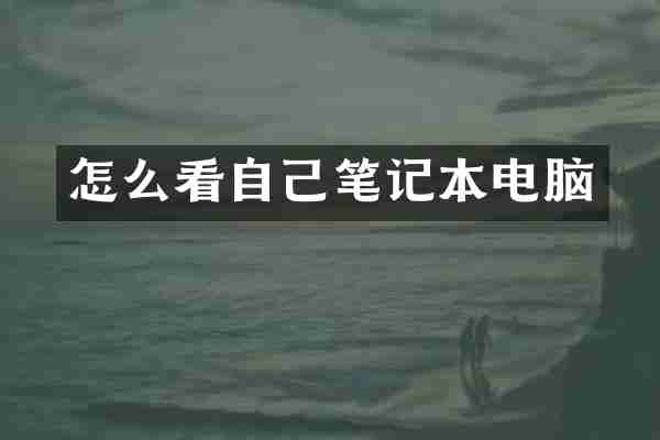 怎么看自己笔记本电脑