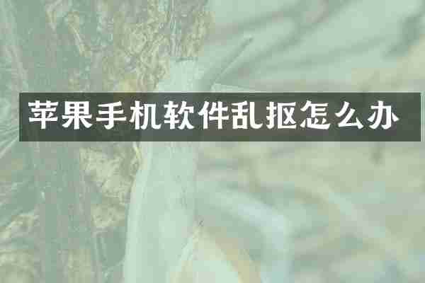 苹果手机软件乱抠怎么办