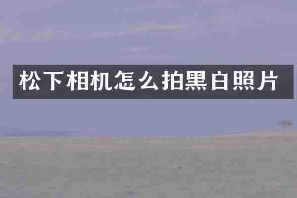 松下相机怎么拍黑白照片