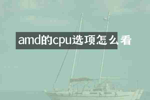 amd的cpu选项怎么看