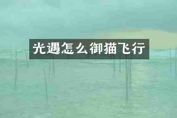 光遇怎么御猫飞行