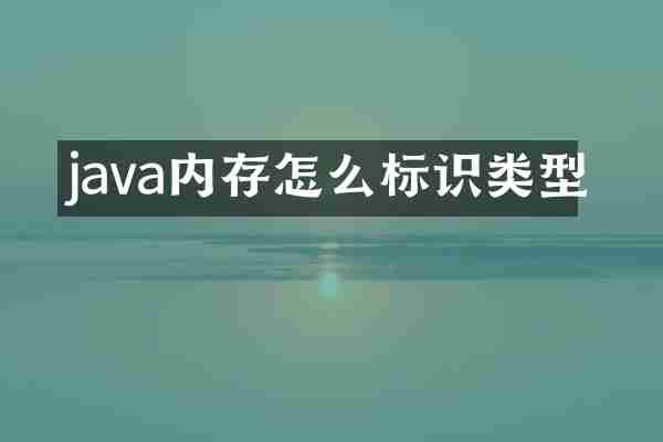 java内存怎么标识类型