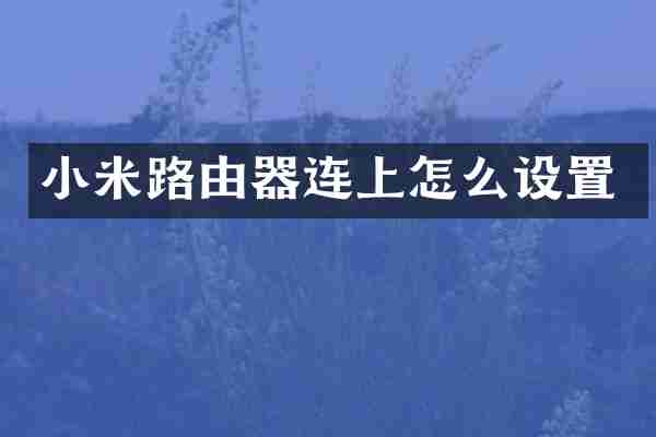 小米路由器连上怎么设置