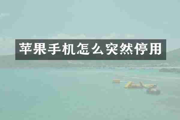 苹果手机怎么突然停用