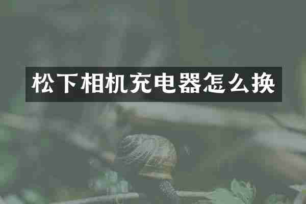 松下相机充电器怎么换