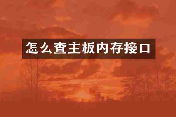 怎么查主板内存接口