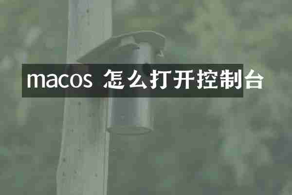 macos 怎么打开控制台
