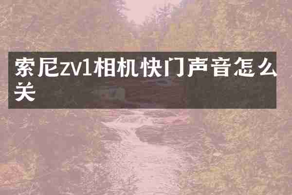 索尼zv1相机快门声音怎么关