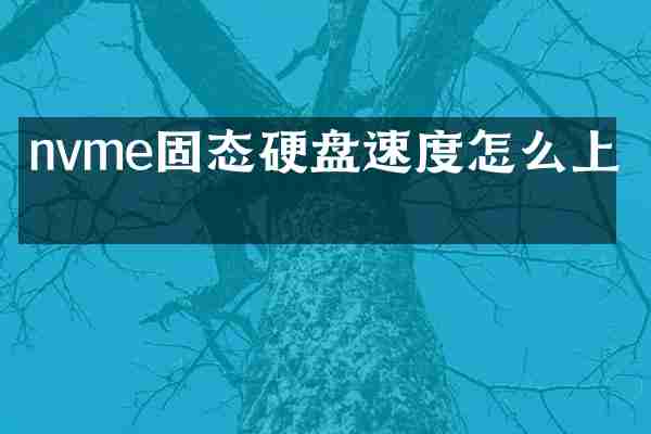 nvme固态硬盘速度怎么上去
