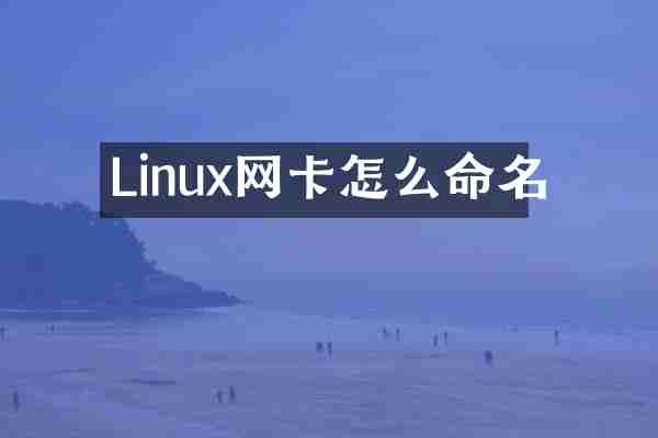 Linux网卡怎么命名