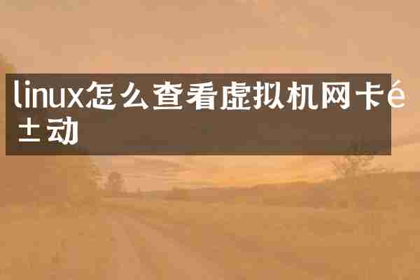 linux怎么查看虚拟机网卡驱动