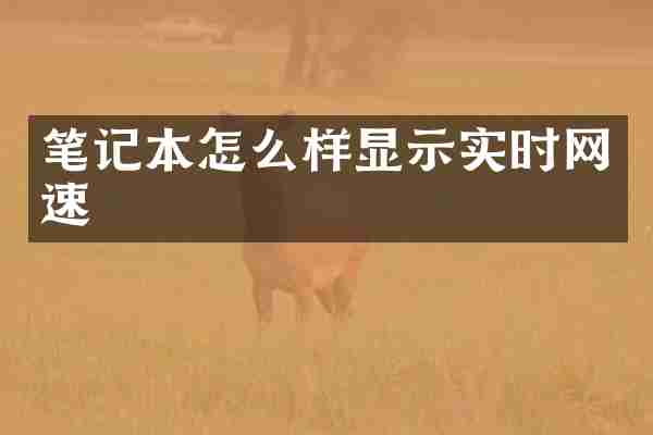 笔记本怎么样显示实时网速