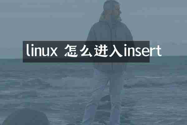 linux 怎么进入insert