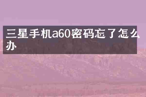 三星手机a60密码忘了怎么办