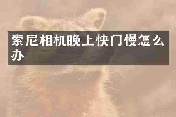 索尼相机晚上快门慢怎么办