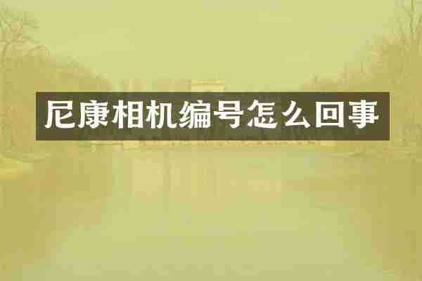 尼康相机编号怎么回事