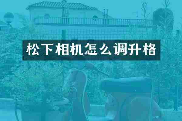 松下相机怎么调升格