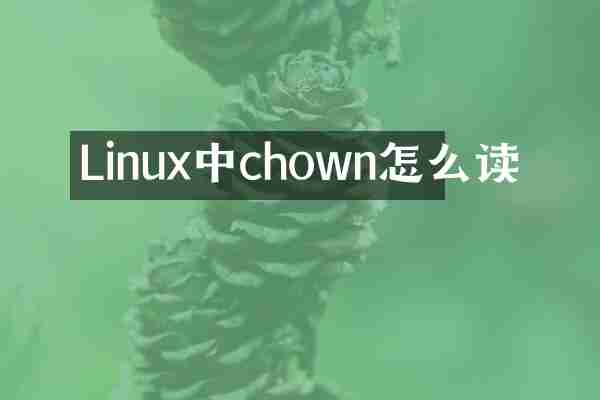Linux中chown怎么读