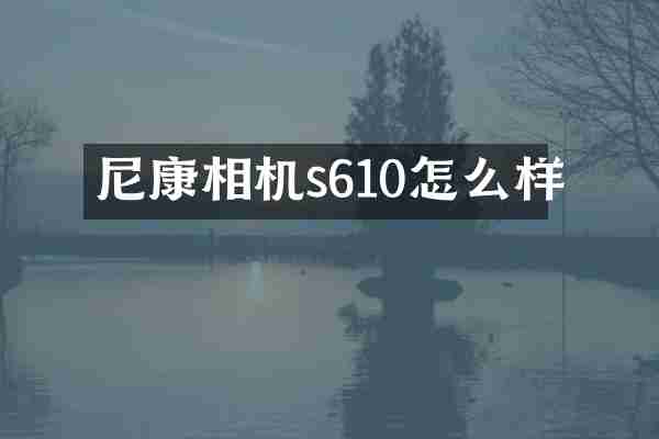 尼康相机s610怎么样