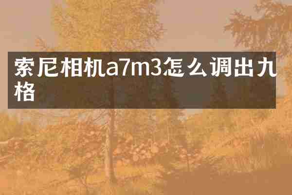 相机a7m3怎么调出九宫格