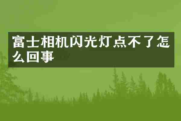 富士相机闪光灯点不了怎么回事