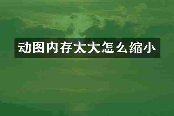 动图内存太大怎么缩小