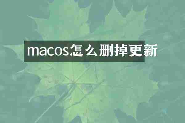 macos怎么删掉更新