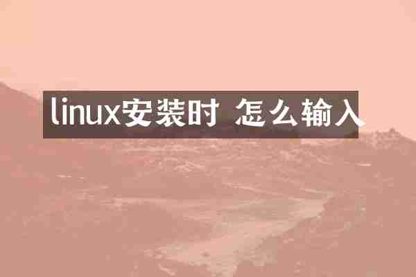 linux安装时 怎么输入