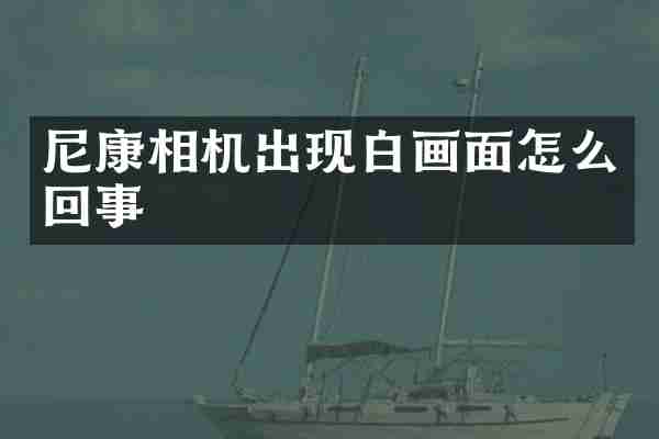 尼康相机出现白画面怎么回事