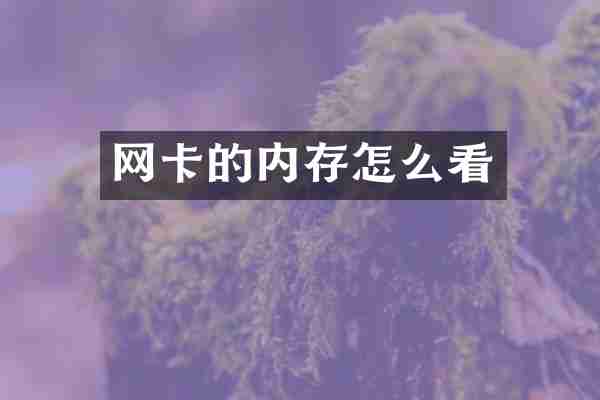 网卡的内存怎么看
