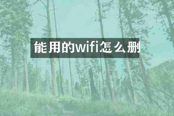 能用的wifi怎么删