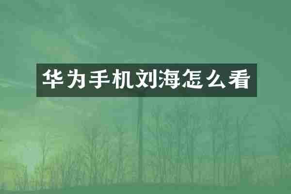 华为手机刘海怎么看
