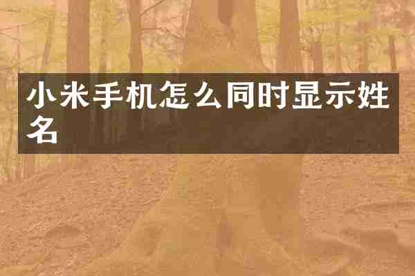 小米手机怎么同时显示姓名