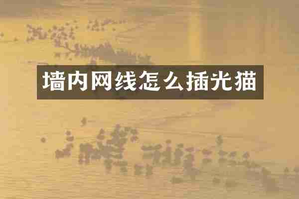 墙内网线怎么插光猫