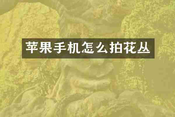 苹果手机怎么拍花丛
