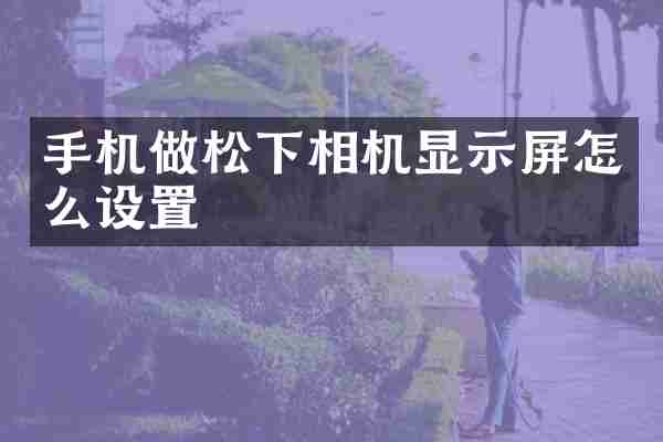 手机做松下相机显示屏怎么设置
