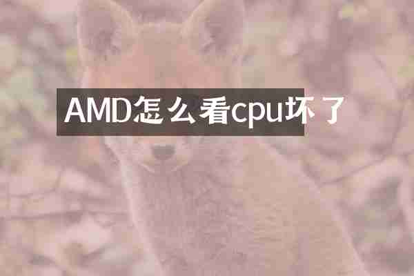 AMD怎么看cpu坏了