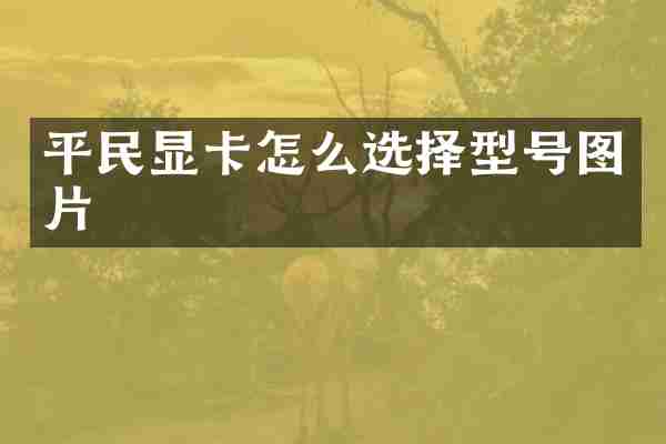 平民显卡怎么选择型号图片