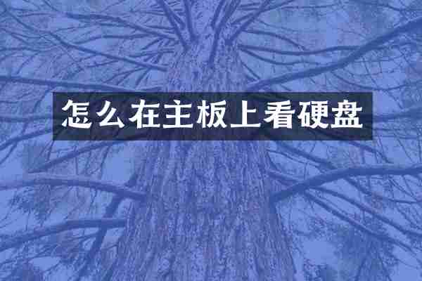 怎么在主板上看硬盘
