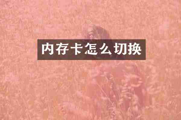 内存卡怎么切换