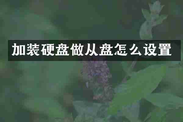 加装硬盘做从盘怎么设置