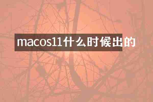 macos11什么时候出的
