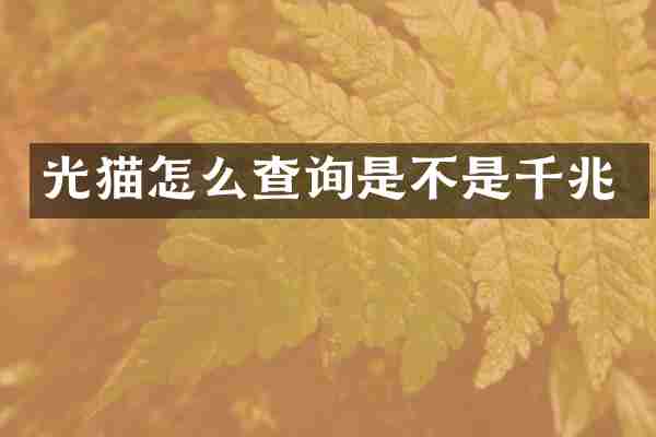 光猫怎么查询是不是千兆