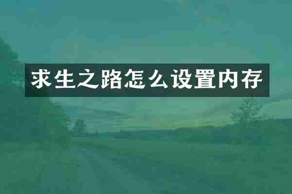 求生之路怎么设置内存