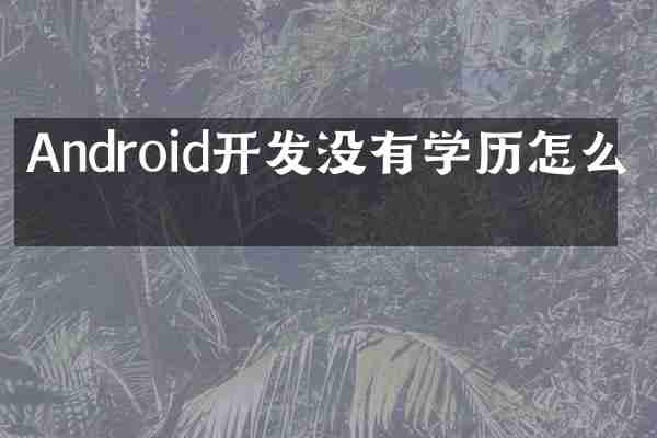 Android开发没有学历怎么办