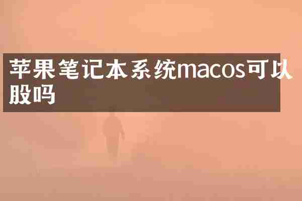 苹果笔记本系统macos可以炒股吗
