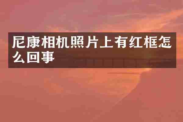 尼康相机照片上有红框怎么回事
