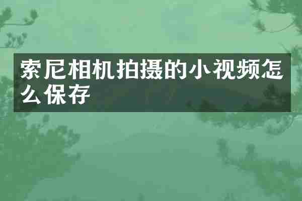 索尼相机拍摄的小视频怎么保存